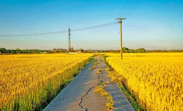 鄉間風景